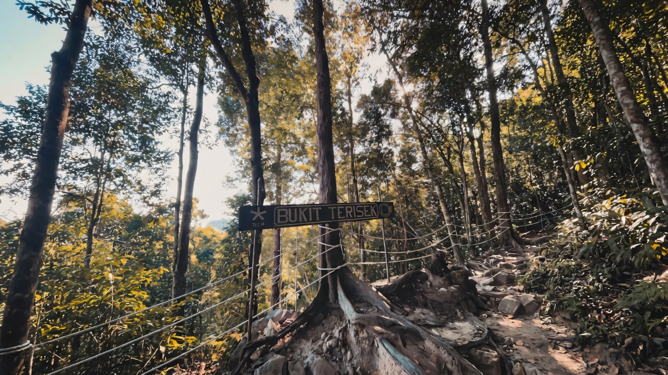 Taman Negara Canopy Walk
